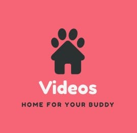 Bokep-indo Indo Mesum Terbaru